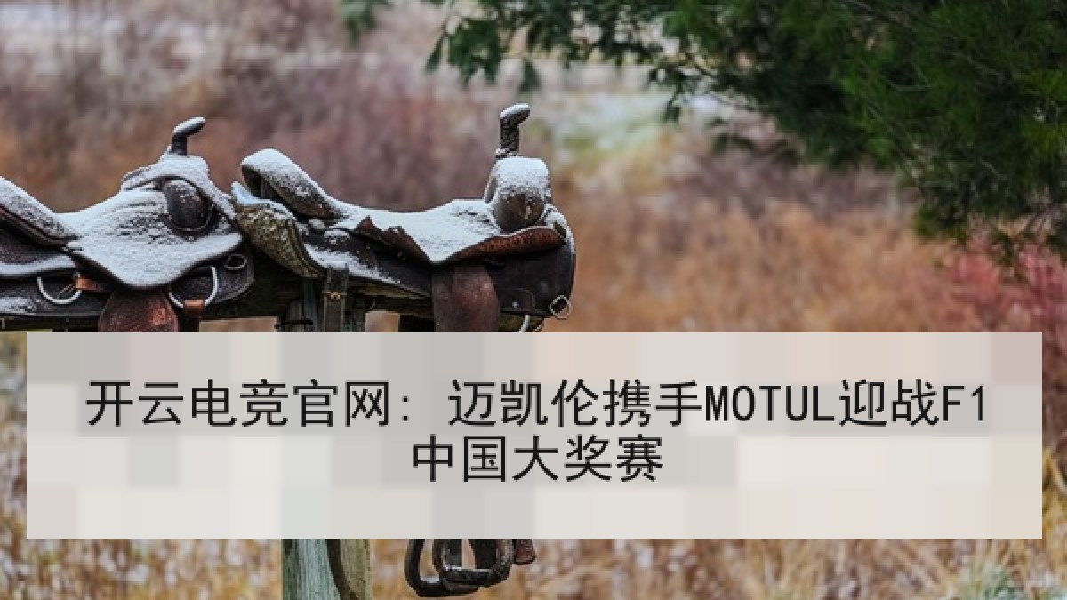 开云电竞官网: 迈凯伦携手MOTUL迎战F1中国大奖赛