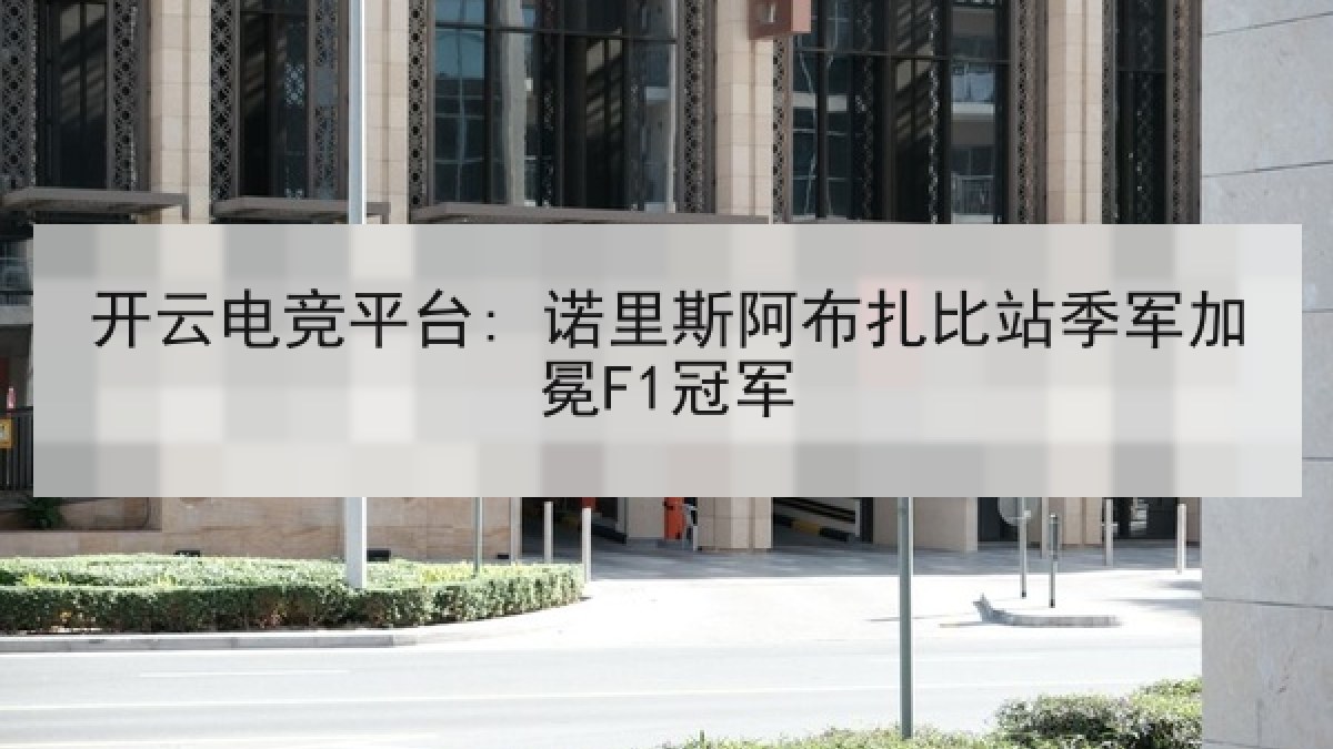 开云电竞平台: 诺里斯阿布扎比站季军加冕F1冠军