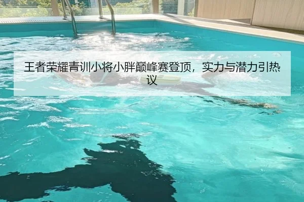 王者荣耀青训小将小胖巅峰赛登顶，实力与潜力引热议