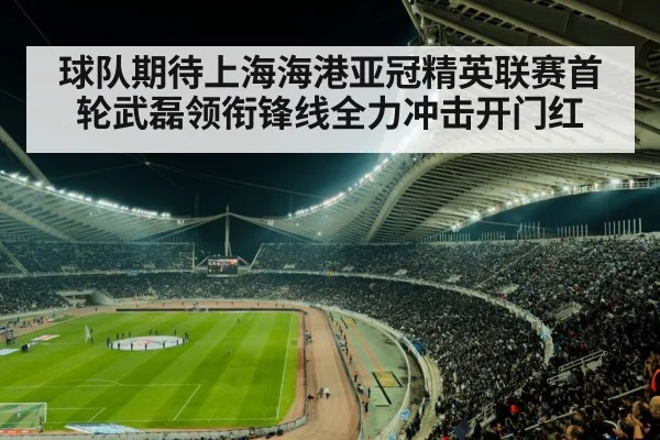 球队期待上海海港亚冠精英联赛首轮武磊领衔锋线全力冲击开门红
